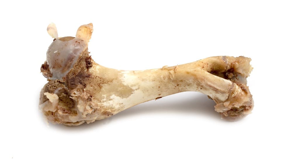 Huesos carnosos dieta barf Ohana Dog, peluquería canina de bajo estrés